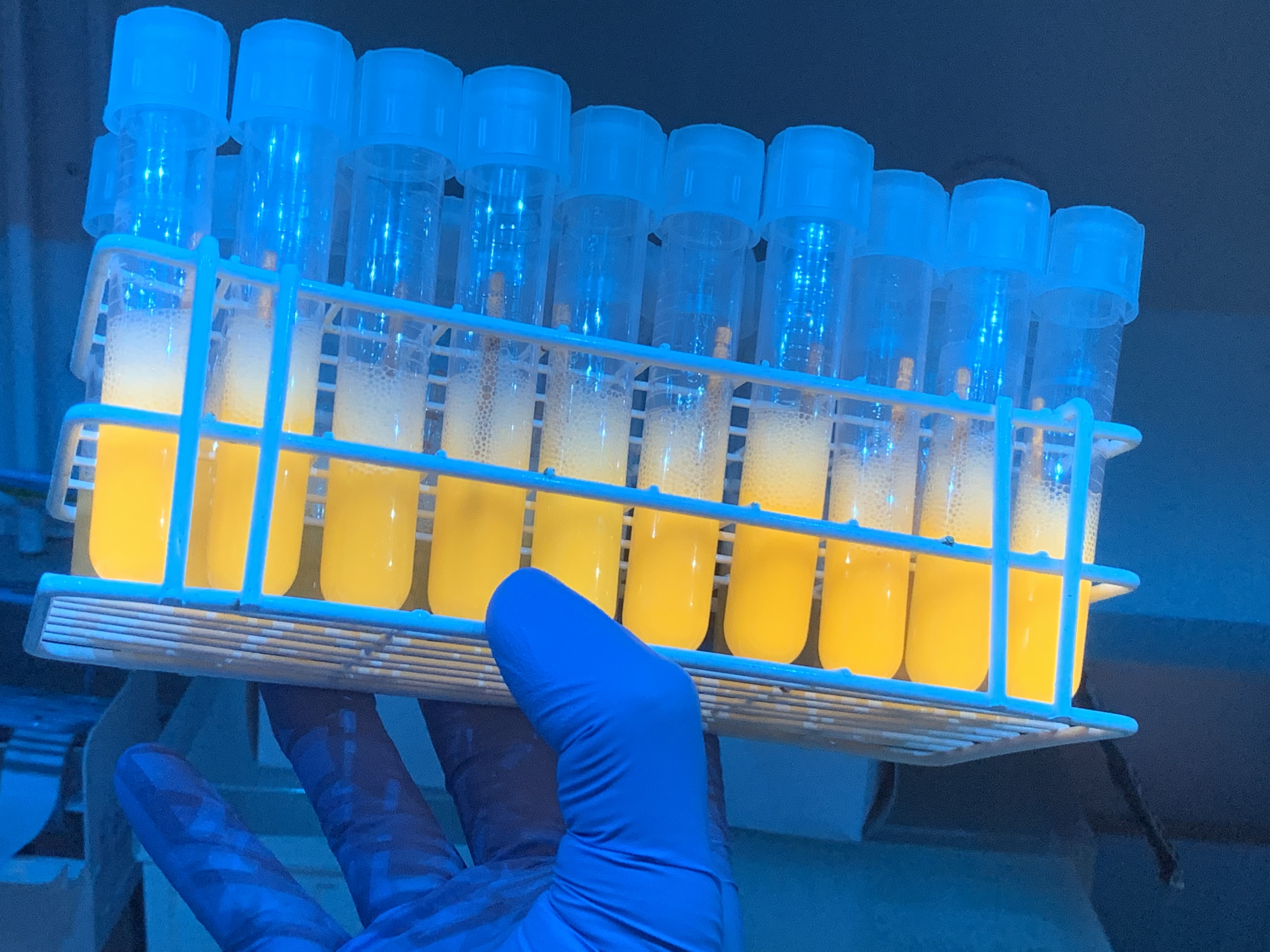 High-contrast marine research image with excellent visual quality