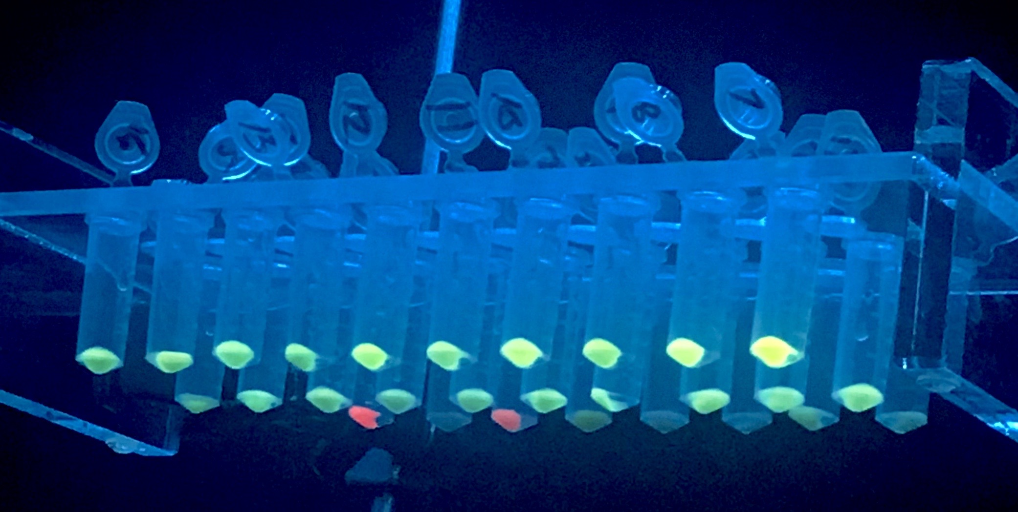 High-contrast fluorescence microscopy