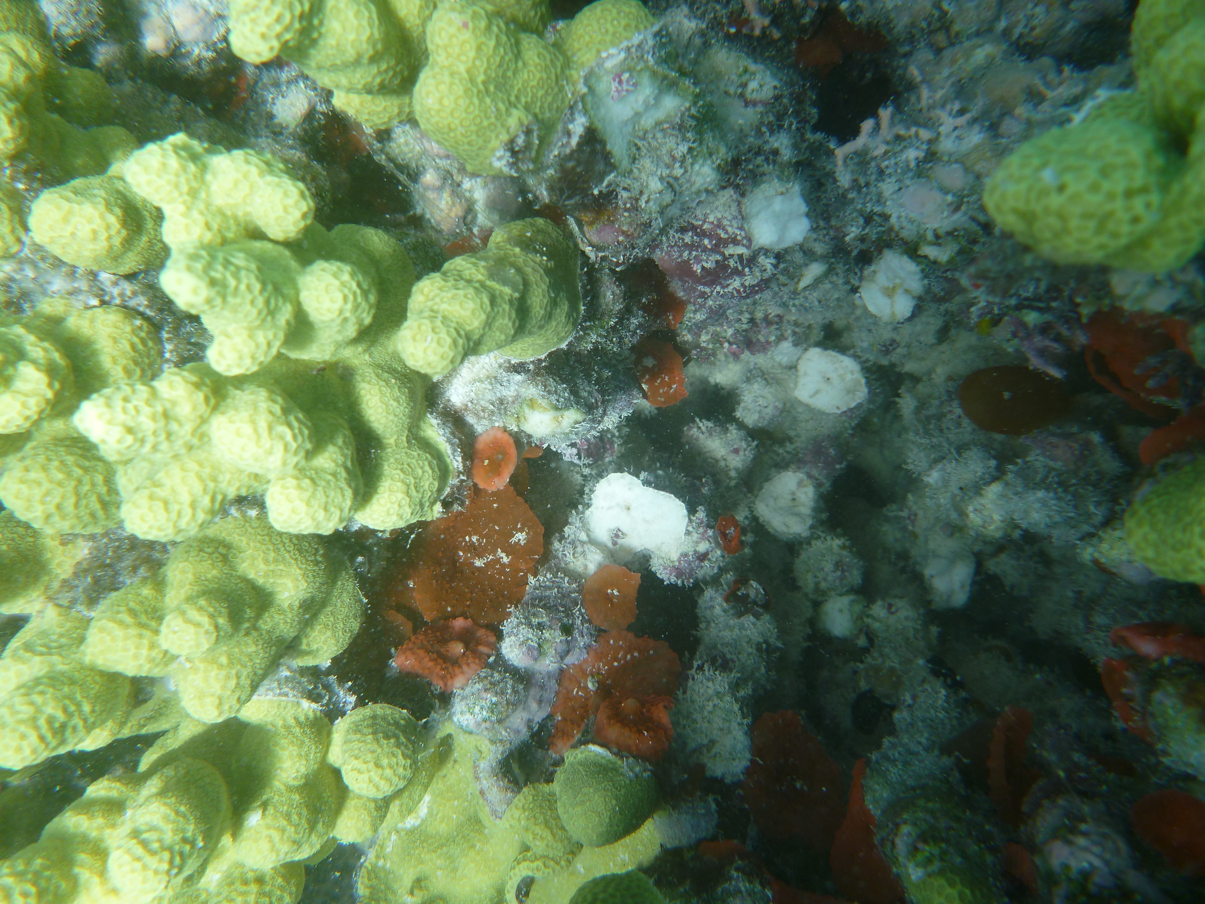 High-resolution interdisciplinary research