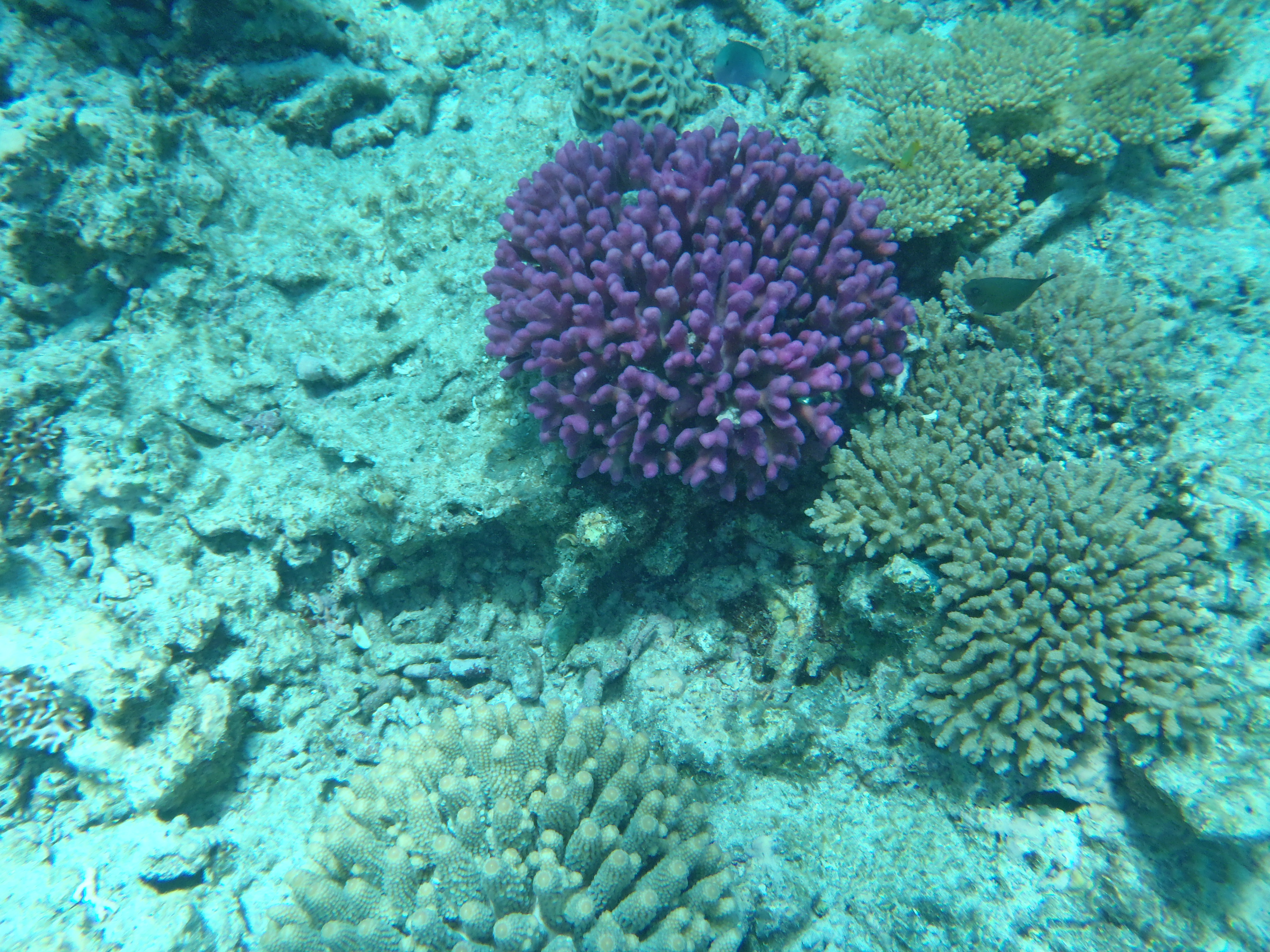 High-resolution research collaboration image