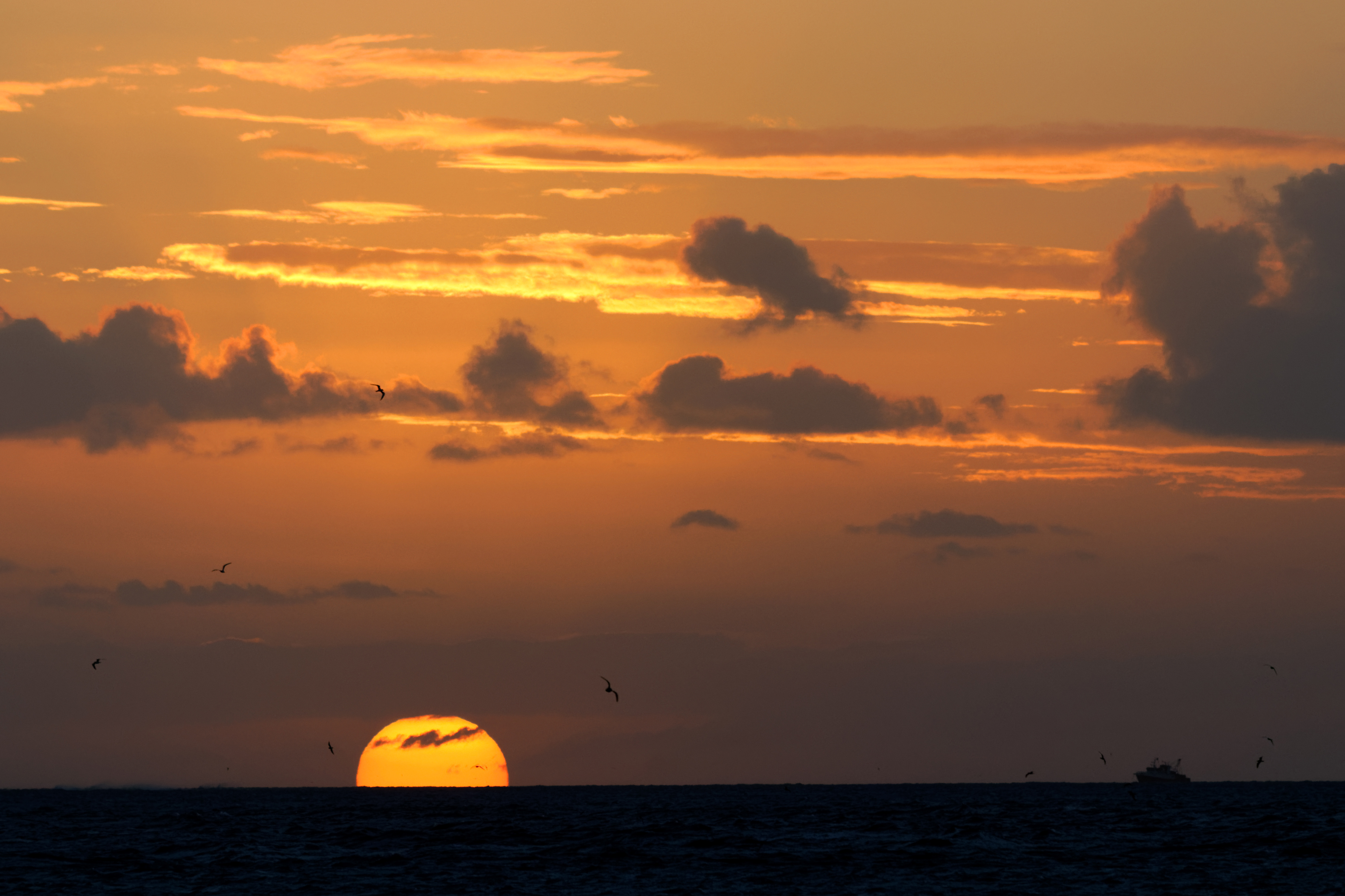 Dramatic natural sunset representing light-based research inspiration